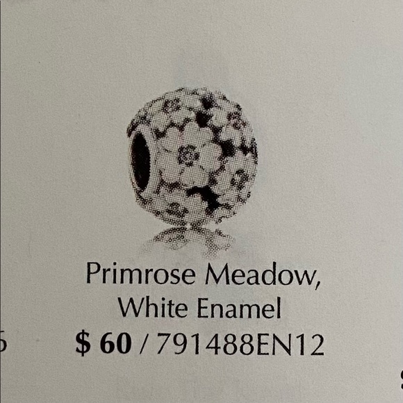 Pandora Leather Bracelet with Charms - Picture 7 of 7